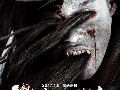 海德堡师范大学电子工程学位证书